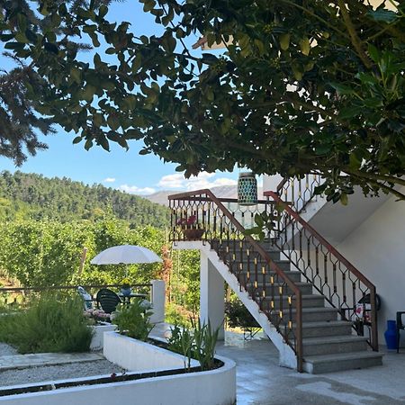 Casa Vicente Villa Lamego Bagian luar foto