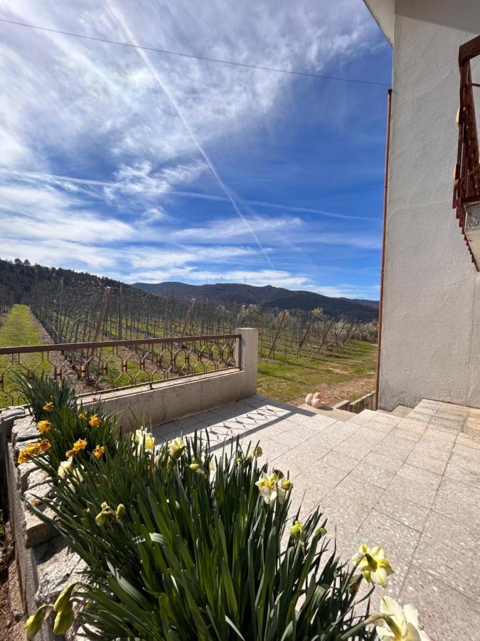 Casa Vicente Villa Lamego Bagian luar foto