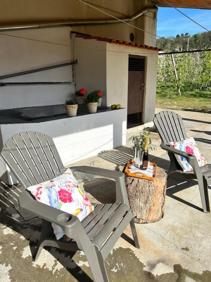 Casa Vicente Villa Lamego Bagian luar foto