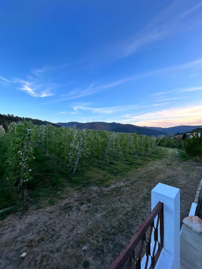 Casa Vicente Villa Lamego Bagian luar foto
