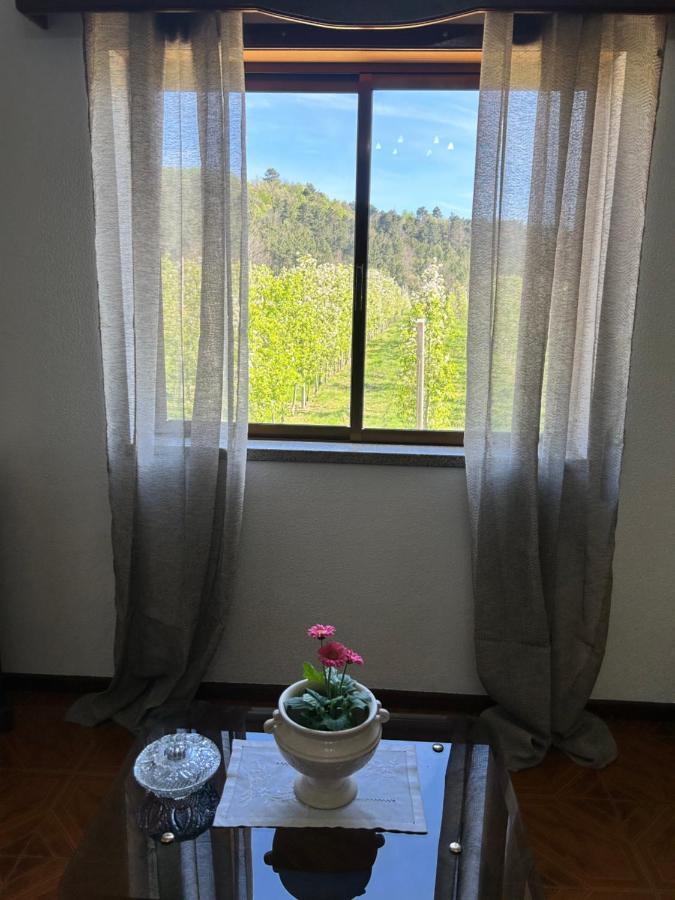 Casa Vicente Villa Lamego Bagian luar foto