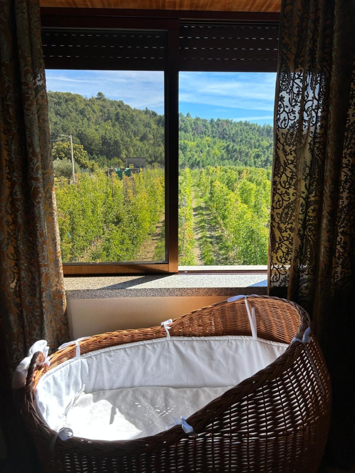 Casa Vicente Villa Lamego Bagian luar foto