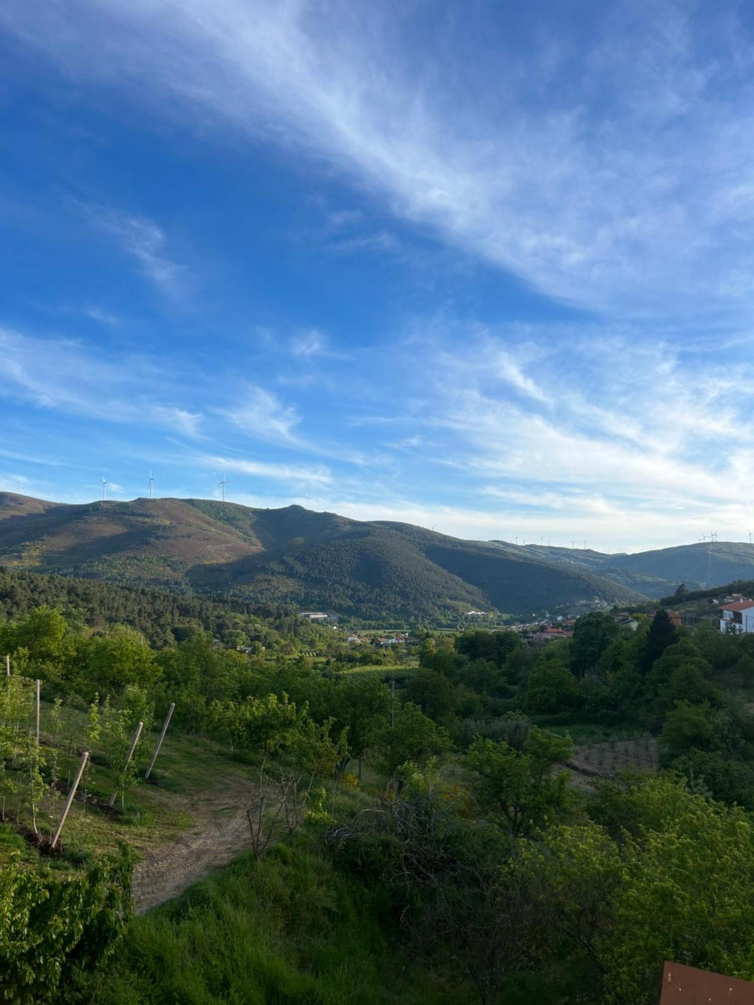 Casa Vicente Villa Lamego Bagian luar foto