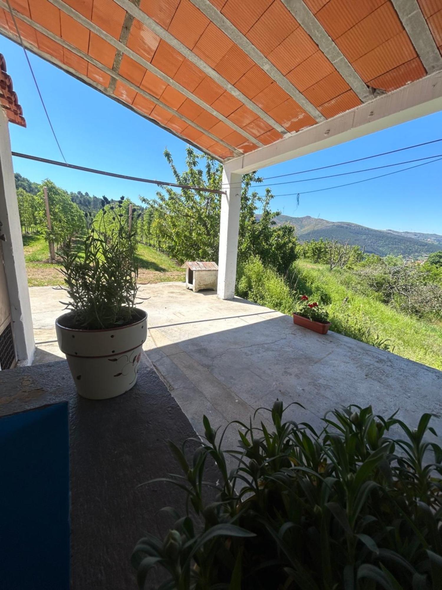 Casa Vicente Villa Lamego Bagian luar foto