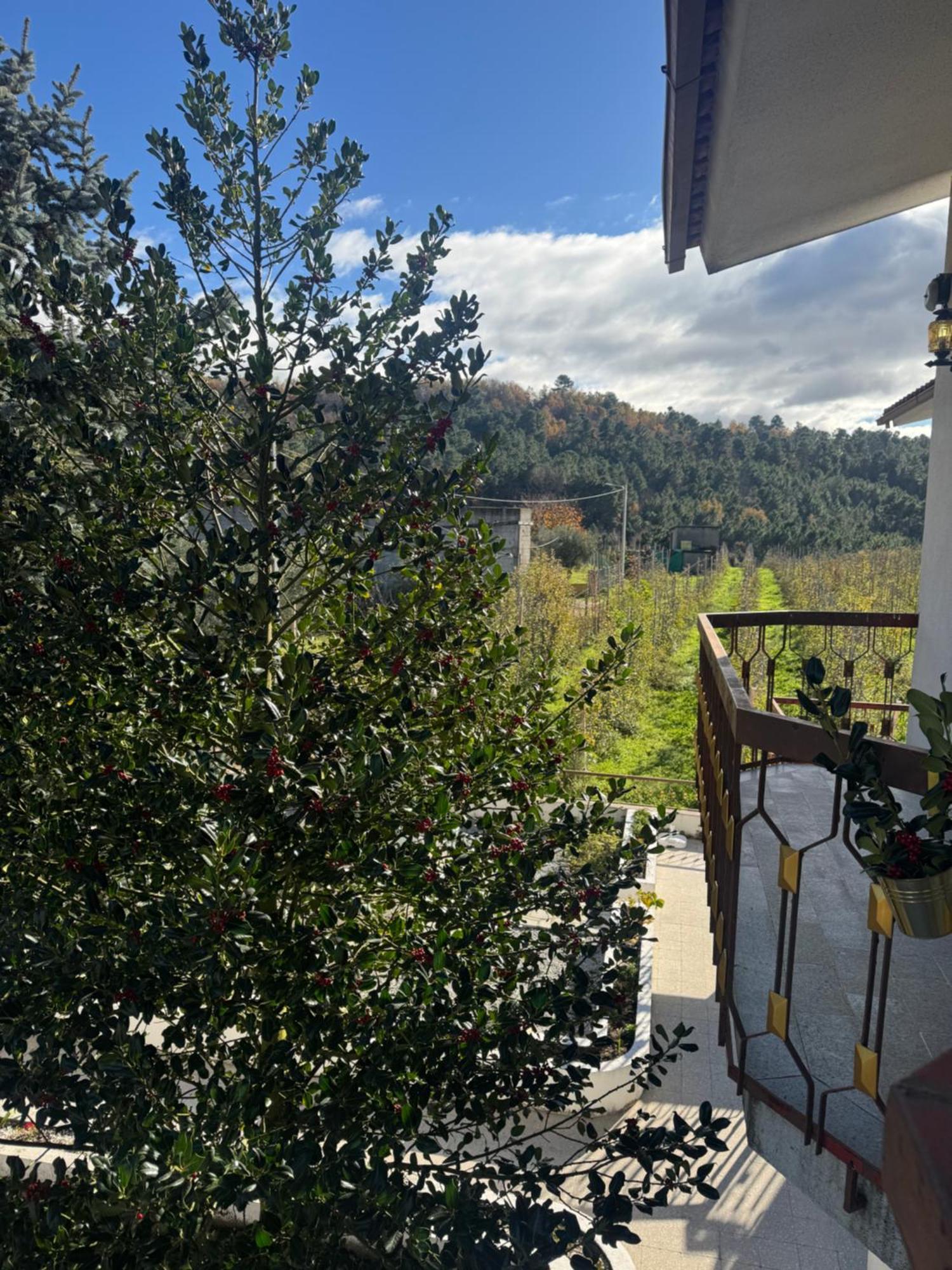 Casa Vicente Villa Lamego Bagian luar foto